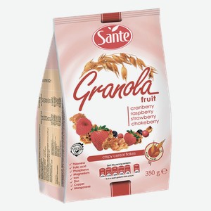 Сухой завтрак Sante Granola с клюквой, малиной, клубникой и черноплодной рябиной, 350 г