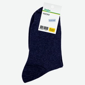 Носки мужские «Каждый день» синие, размер 29
