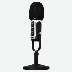 Микрофон SunWind SW-SM500G, черный [1427255]