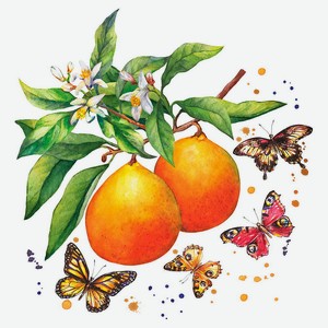 Салфетки 3 сл. Fruity Butterflies DUNI, 0,105 кг