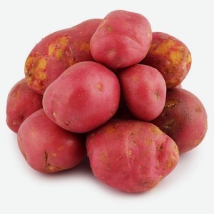 Картофель красный ранний, вес цена за 1 кг