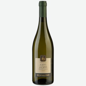 Вино Scanavino Gavi di Gavi белое сухое