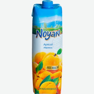 Нектар Noyan абрикосовый, 1л