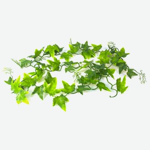 Декоративное растение для террариумов LUCKY REPTILE  Ivy Vine , 200см (Германия)