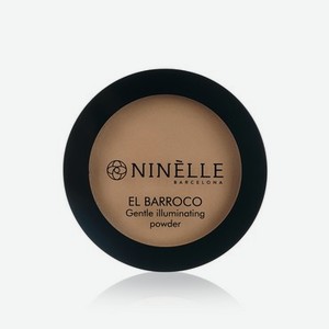 Легкая пудра для лица с эффектом сияния Ninelle El Barroco 233 8,9г