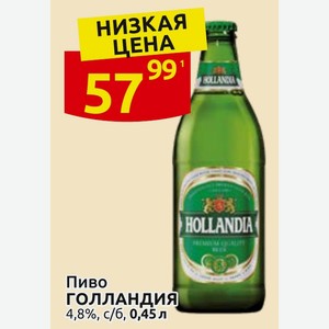 Пиво ГОЛЛАНДИЯ 4,8%, с/б, 0,45 л