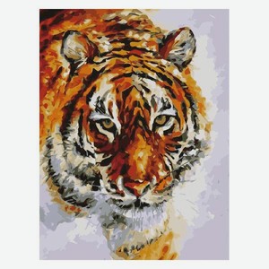 Картина по номерам Остров сокровищ 662473  Тигр 