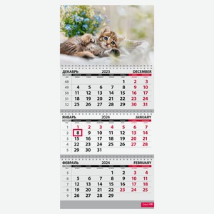 Календарь «Сириус» на 2024 год трёхблочный квартальный Котята
