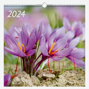Календарь настенный Listoff Цветы на спирали 2024, 320х320 мм