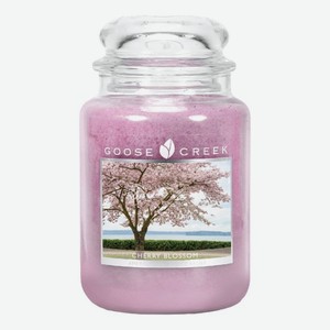 Ароматическая свеча Cherry Blossom (Вишня в цвету): свеча 680г