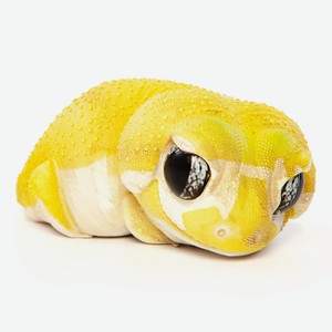 Коллекционная фигурка геккона EXOPRIMA, жёлтая