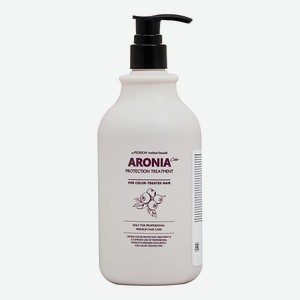 EVAS Pedison Маска для волос Арония Institute-beaut Aronia Color Protection Treatment 500