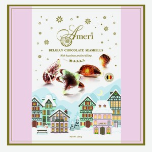 Конфеты Ameri шоколадные с начинкой пралине, 250г Бельгия