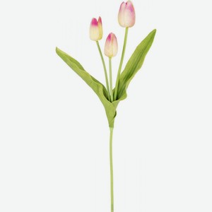 Тюльпан декоративный, в ассортименте, 41 см