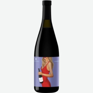 Вино Винодел&Сомелье Каберне Фран красное сухое 13% 750мл