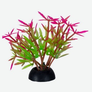 Растение для аквариума HOMEFISH Кверкус пурпурный пластиковое с грузом, 5 см