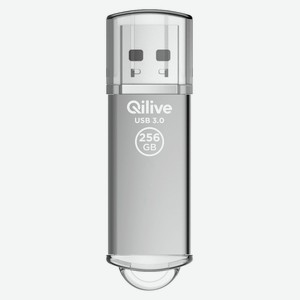 Флешка Qilive USB 3.2 gen 1, с колпачком, алюминий, серебро, 256GB