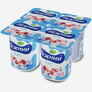 Йогурт Нежный ягодное мороженое 100г с 3лет