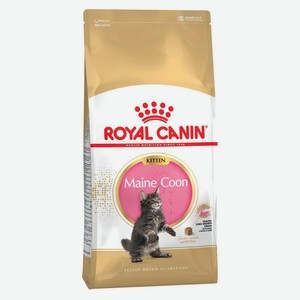 Сухой Сухой корм для котят Royal Canin Maine Coon Kitten крупных пород, 2 кг