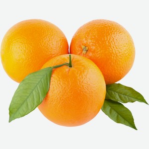 Апельсин египетский