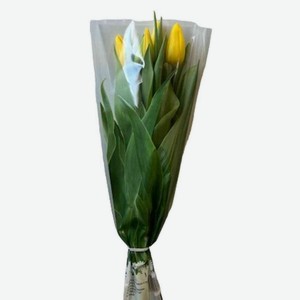 Букет цветов Тюльпан в пакете высота 35 цвет, в ассортименте, 5 шт.