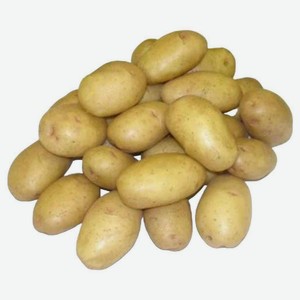 Клубни Картофель семенной Великан, 2 кг