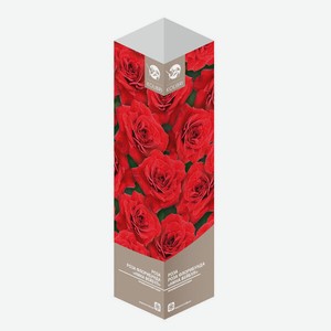 Роза саженец в коробке