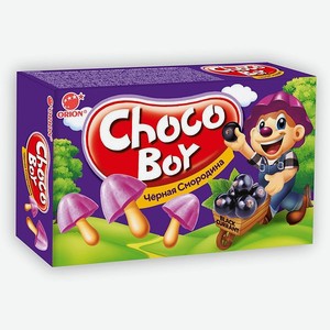 Печенье Choco-Boy чёрная смородина 45г