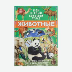 Серия книг  Мой первый большой атлас , Свежий ветер, в ассортименте