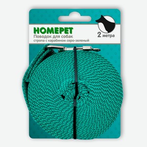Поводок для собак HOMEPET стропа с карабином серо-зеленый, 25 мм х 2 м