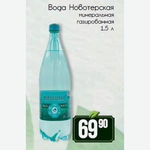 Вода Новотерская минеральная газированная 1,5 л