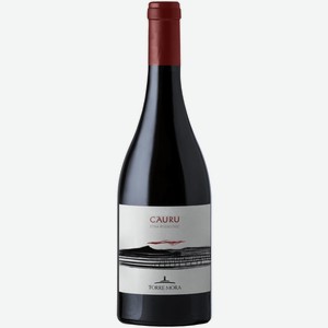 Вино Torre Mora Cauru Rosso красное сухое 0,75 л