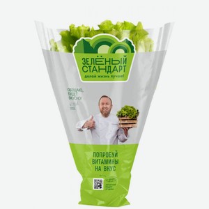 Салат зеленый листовой Зелёный стандарт в горшочке, 110 г