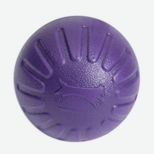 Мяч Пижон плавающий для дрессировки фиолетовый