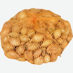 Лук-севок Румба, 0,5 кг