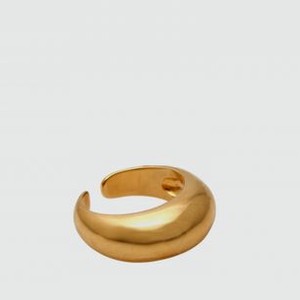Кольцо SAYOGNIVO Core Ring 2.4