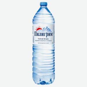 Вода минеральная Пилигрим Талая негазированная, 6 шт. по 1.5 л, пластиковая бутылка