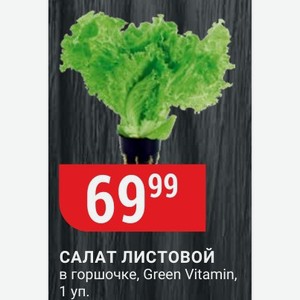 Салат листовой в горшочке, Green Vitamin, 1 уп.