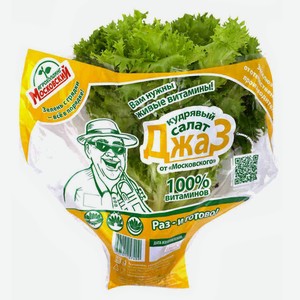 Салат кудрявый Джаз в горшочке Московский шт