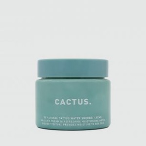Крем-щербет с кактусовой водой SO NATURAL Cactus Water Sherbet Cream 80 гр