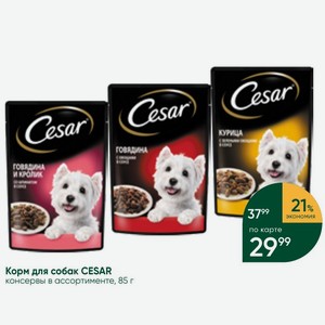 Корм для собак CESAR консервы в ассортименте, 85 г