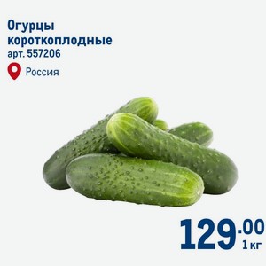 Огурцы короткоплодные Россия 1 кг