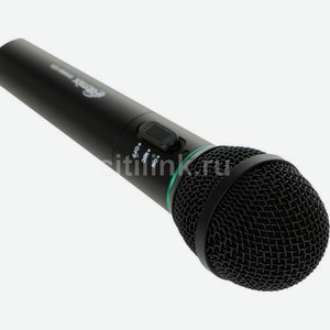 Микрофон Ritmix RWM-101, черный [15115476]