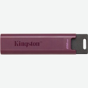 Флешка USB Kingston DataTraveler Max 256ГБ, USB3.2, черный и бордовый [dtmaxa/256gb]