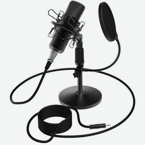 Микрофон Ritmix RDM-175, черный [80000152]