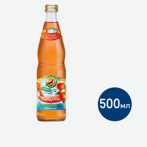 Напиток Напитки из черноголовки Мандарин сильногазированный, 500мл Россия