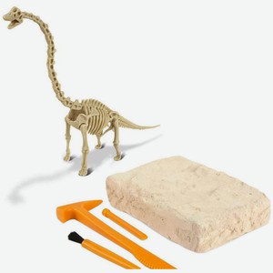 Раскопки со скелетом динозавра 107 (108)