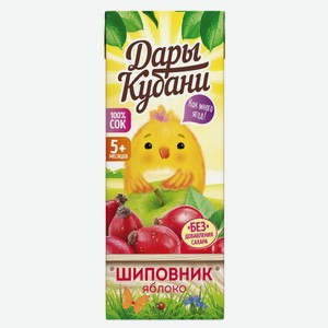 Сок «Дары Кубани» яблоко-шиповник с 5 месяцев, 200 мл