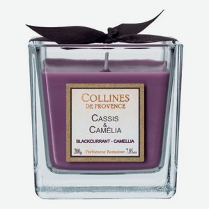 Ароматическая свеча Blackcurrant-Camellia: Свеча 200г