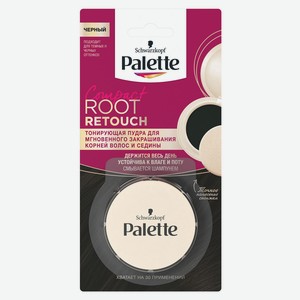Пудра тонирующая Palette Root Retouch Чёрный для закрашивания корней и седины, 3 г